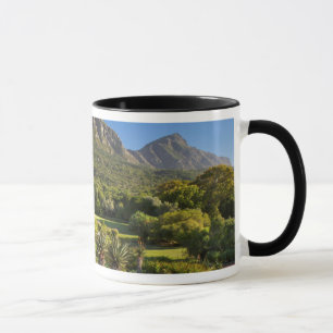 Caneca Jardins Botânicos Kirstenbosch, Cidade do Cabo