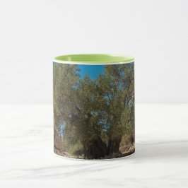 Caneca Jardins Olivais de Lun