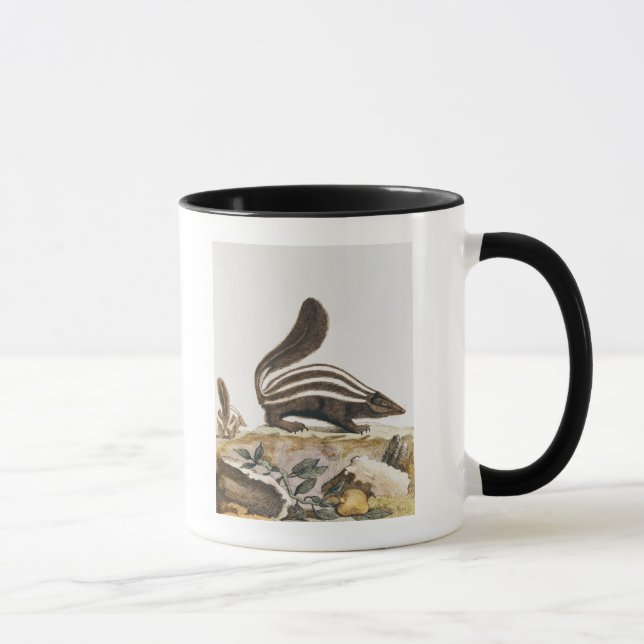Caneca Jaritataca, de "Histoire Naturelle" perto (Direita)