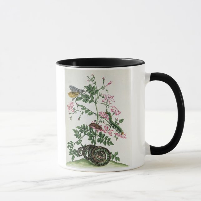 Caneca Jasmim: com cobra, traça, caterpiller e chrysal (Direita)