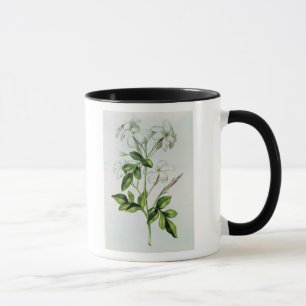 Caneca Jasmim, 'de La Guirlande de Julie'