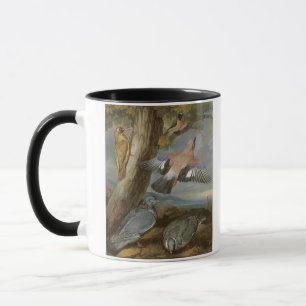 Caneca Jay, pica-pau verde, pombos e Redstart, c.165