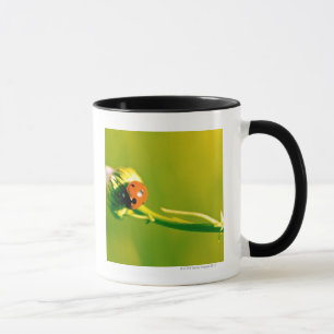 Caneca Joaninha no sprig