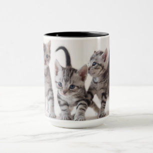 Caneca Jogo de Shorthair de três americanos