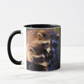 Caneca Junto para sempre guaxinins