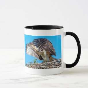 Caneca Juvenil Osprey no ninho