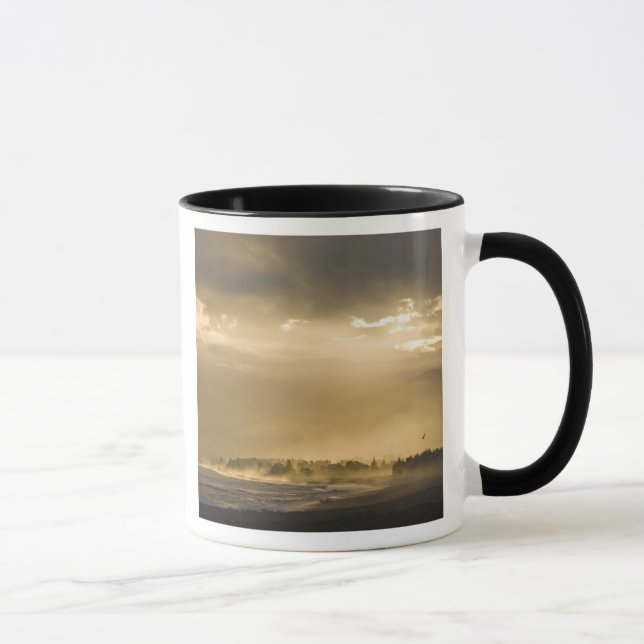 Caneca Kaikoura, Nova Zelândia. Kaikoura é conhecida por (Direita)