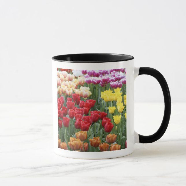 Caneca Keukenhof Gardens, Holanda, especializada em 2 (Direita)