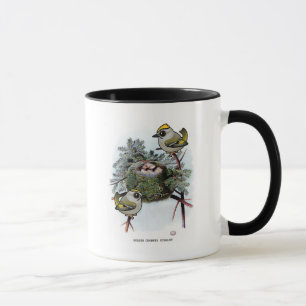 Caneca Kinglet Ouro-coroado vintage