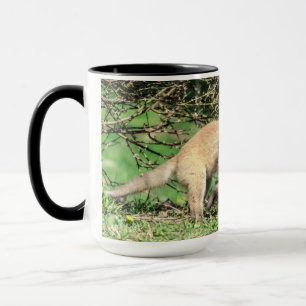 Caneca Kits de Raposa Vermelha Reproduzindo