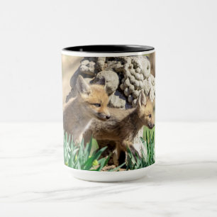 Caneca Kits Fox no Vale do Hudson