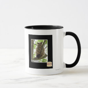 Caneca Koala Kitteh