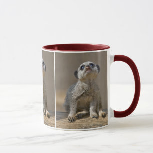 Caneca Kute Kat Mug