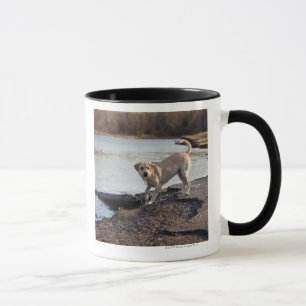 Caneca Labrador branco perto de um lago