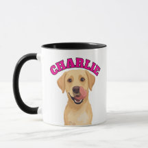 Labrador Feliz Lambendo o Nariz