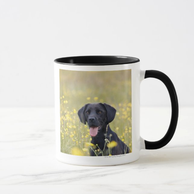 Caneca Labrador preto 16 meses (Direita)