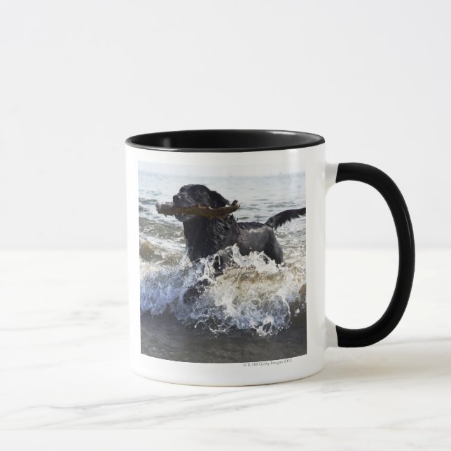 Caneca Labrador retriever preto que funciona através do (Direita)