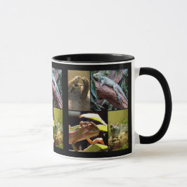 Caneca Lagartos de lagartas e camelões