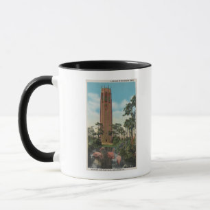 Caneca Lago Wales, FL - ideia do canto