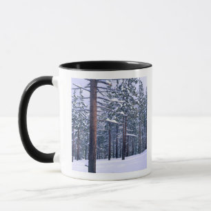 Caneca LAKE TAHOE STATE PARK, NEVADA. EUA. Neve fresca