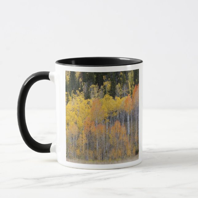 Caneca Lambert Hollow, árvores de álamo (Esquerda)