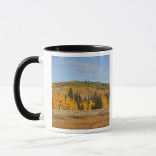 Caneca Lambert Hollow, árvores de álamo