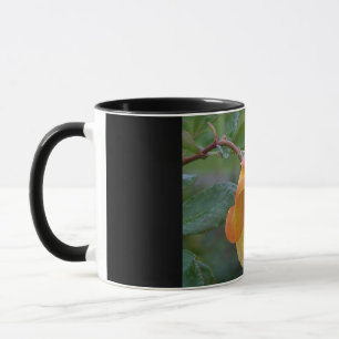 Caneca Laranja Rosa Floral 2