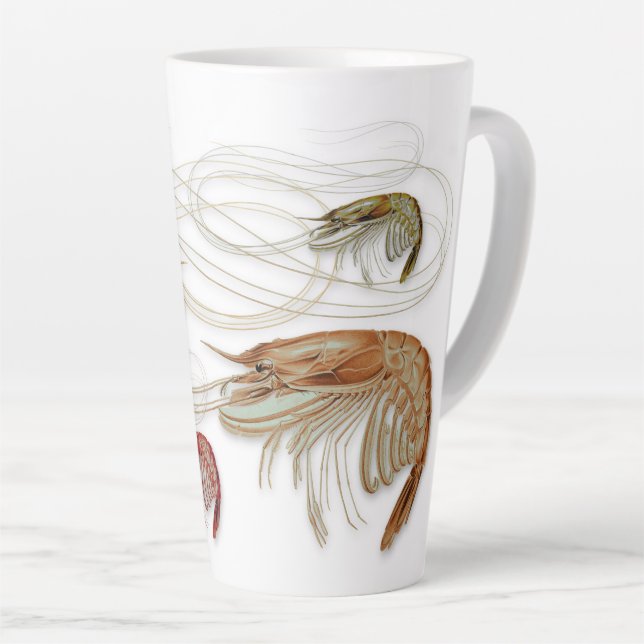 Caneca Lateral Da Família Shrimp (Ângulo direito)
