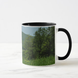 Caneca Laurel Highlands Pennsylvania Summer Photoics