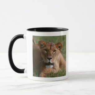 Caneca Leão