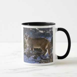 Caneca Leão-da-montanha