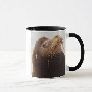 Caneca Leão de mar de Califórnia