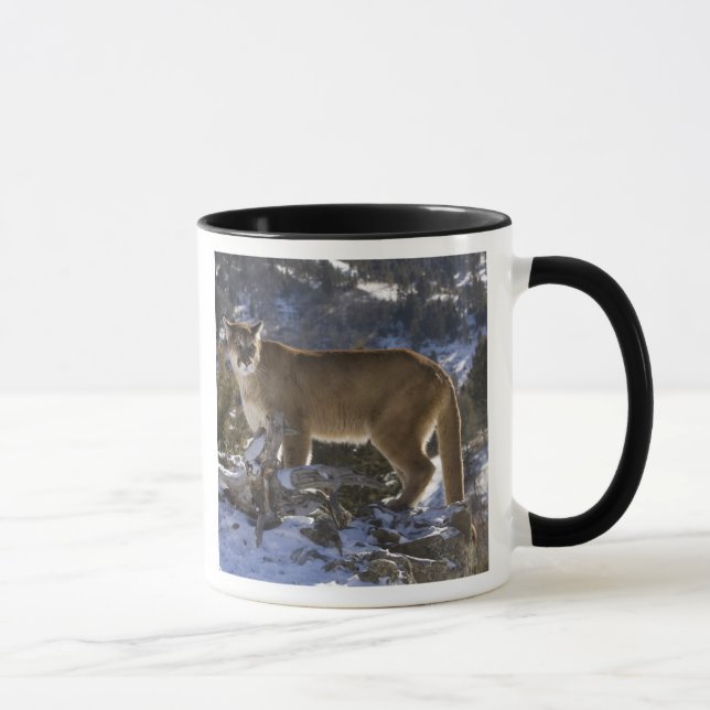Caneca Leão de montanha (Direita)