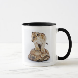 Caneca Leão do bebê que está na tartaruga, fundo branc