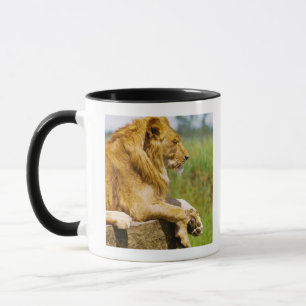 Caneca Leão que encontra-se em uma rocha