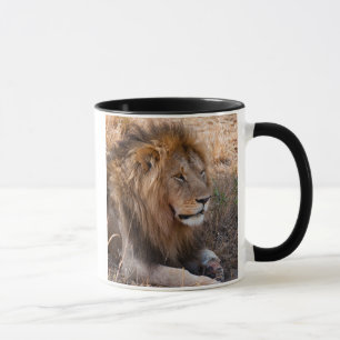 Caneca Leão Reserva Nacional Maasai Mara, Quênia