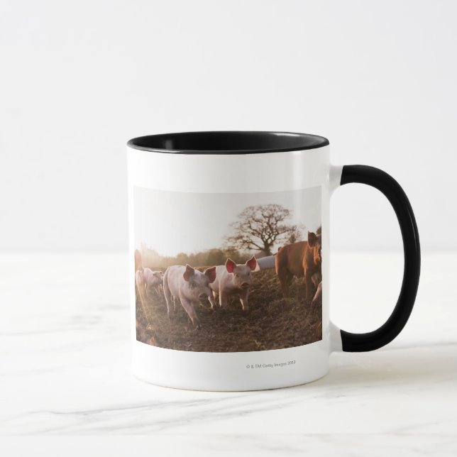 Caneca Leitão no Barnyard (Direita)