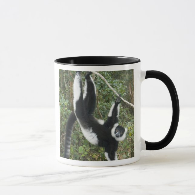 Caneca Lêmure-rufo-branco-e-preto, (Varecia (Direita)