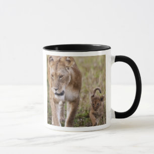 Caneca Leoa com Filhote