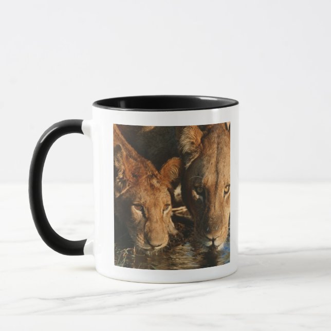 Caneca Leoa & Cub (Panthera leo) (Esquerda)