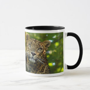Caneca Leopardo