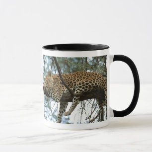 Caneca Leopardo descendo em árvore
