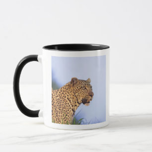 Caneca Leopardo do homem adulto (pardus do Panthera)