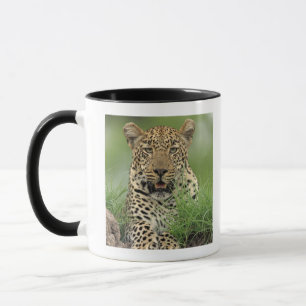 Caneca Leopardo, pardus do Panthera, jogo de Sabi Sabi