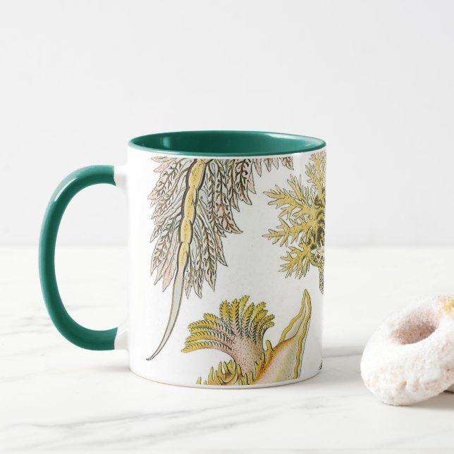 Caneca Lesmas Marinhas por Ernst Haeckel, Nudibrânquia Vi (Com Donut)