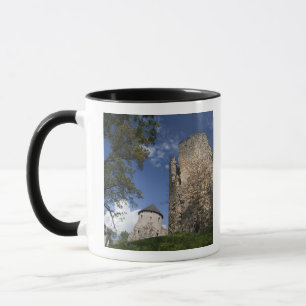 Caneca Letônia, Letônia Nordeste, Região de Vidzeme,