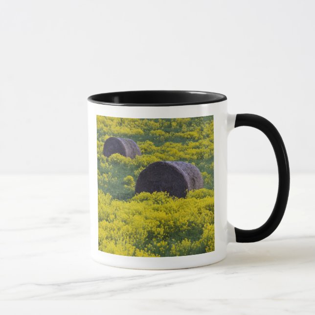 Caneca Letônia, Letônia Nordeste, Região de Vidzeme, (Direita)