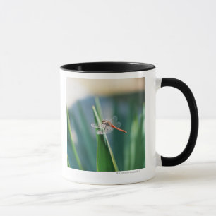 Caneca Libélula