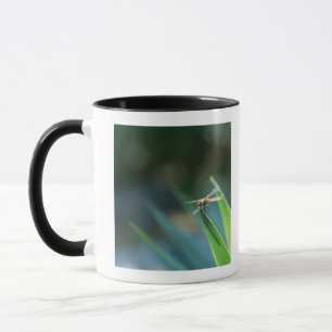 Caneca Libélula