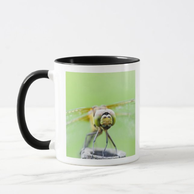 Caneca Libélula (infuscatum de Sympetrum) (Esquerda)